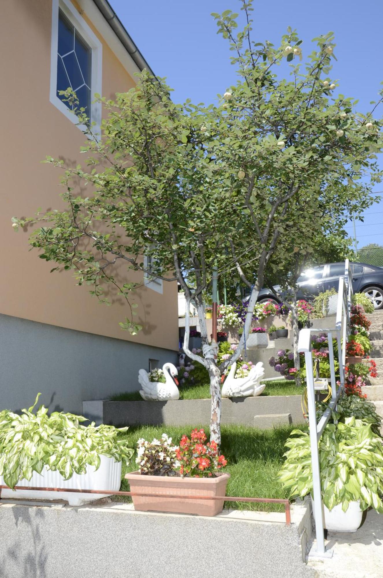 Apartments Lilly - Studio Rijeka Exterior foto